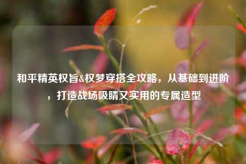 和平精英权旨&权梦穿搭全攻略,从基础到进阶,打造战场吸睛又实用的专属造型