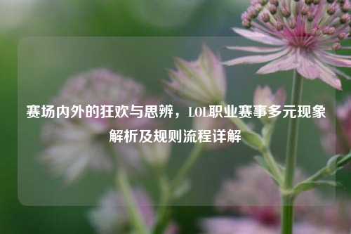 赛场内外的狂欢与思辨,LOL职业赛事多元现象解析及规则流程详解