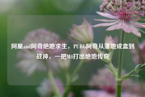 阿星and阿奇绝地求生，PUBG阿奇从落地成盒到战神，一把M4打出绝地传奇