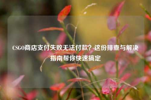 CSGO商店支付失败无法付款?这份排查与解决指南帮你快速搞定