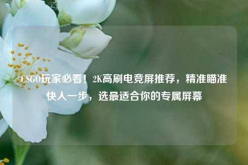CSGO玩家必看!2K高刷电竞屏推荐,精准瞄准快人一步,选最适合你的专属屏幕