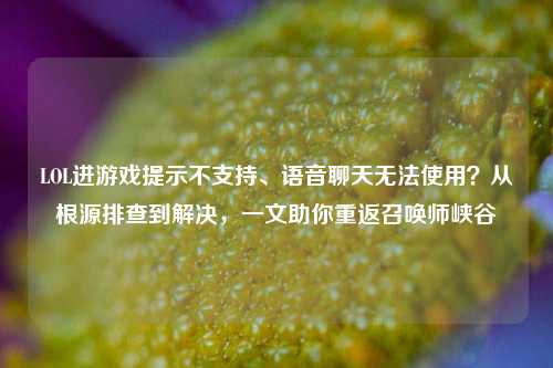 LOL进游戏提示不支持、语音聊天无法使用?从根源排查到解决,一文助你重返召唤师峡谷