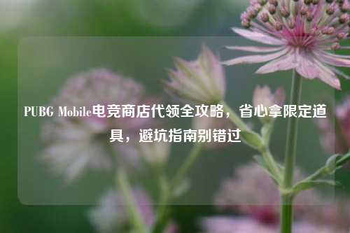 PUBG Mobile电竞商店代领全攻略,省心拿限定道具,避坑指南别错过