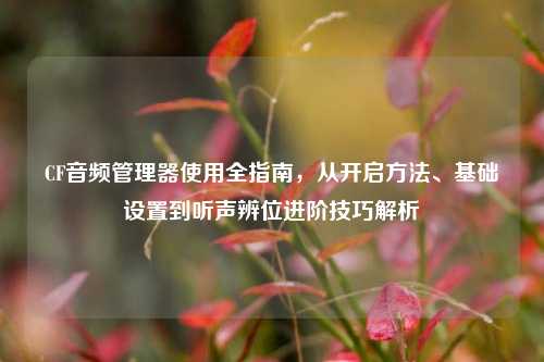 CF音频管理器使用全指南,从开启方法、基础设置到听声辨位进阶技巧解析