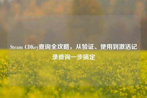 Steam CDKey查询全攻略，从验证、使用到激活记录查询一步搞定
