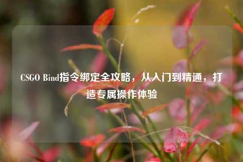 CSGO Bind指令绑定全攻略,从入门到精通,打造专属操作体验