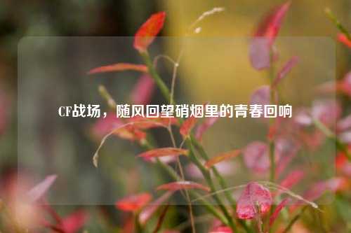 CF战场，随风回望硝烟里的青春回响