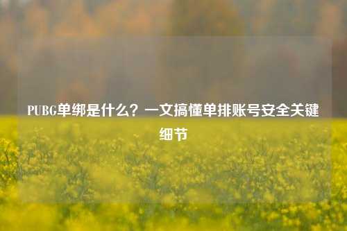 PUBG单绑是什么？一文搞懂单排账号安全关键细节