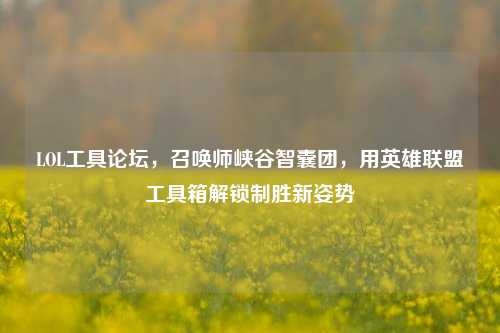 LOL工具论坛,召唤师峡谷智囊团,用英雄联盟工具箱解锁制胜新姿势