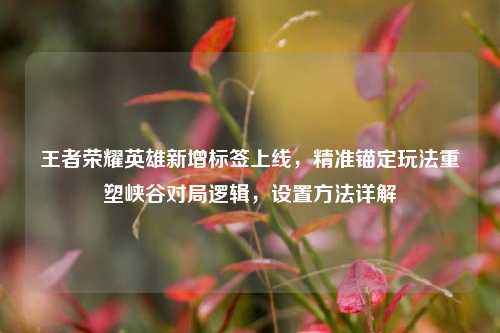王者荣耀英雄新增标签上线,精准锚定玩法重塑峡谷对局逻辑,设置方法详解