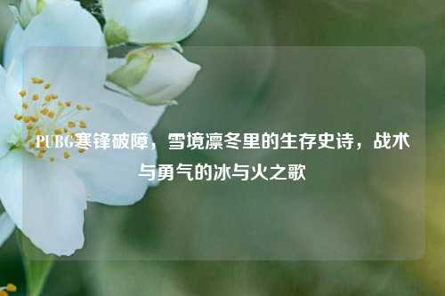 PUBG寒锋破障,雪境凛冬里的生存史诗,战术与勇气的冰与火之歌
