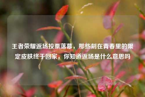 王者荣耀返场投票落幕，那些刻在青春里的限定皮肤终于回家，你知道返场是什么意思吗