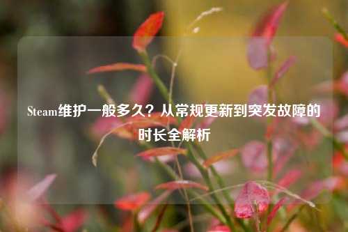 Steam维护一般多久?从常规更新到突发故障的时长全解析