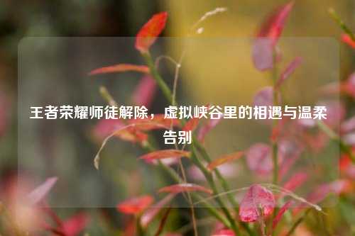 王者荣耀师徒解除,虚拟峡谷里的相遇与温柔告别