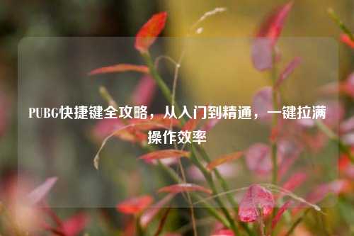 PUBG快捷键全攻略,从入门到精通,一键拉满操作效率