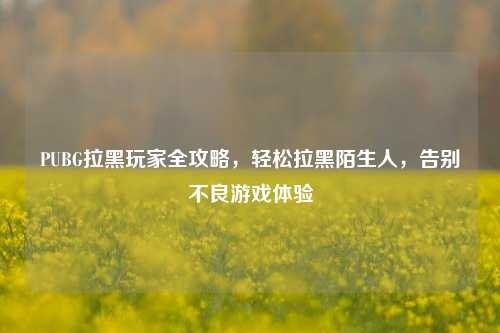 PUBG拉黑玩家全攻略,轻松拉黑陌生人,告别不良游戏体验