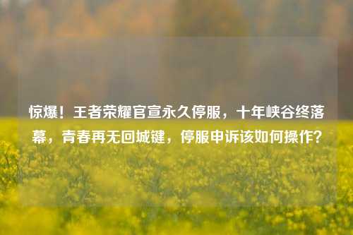 惊爆!王者荣耀官宣永久停服,十年峡谷终落幕,青春再无回城键,停服申诉该如何操作?