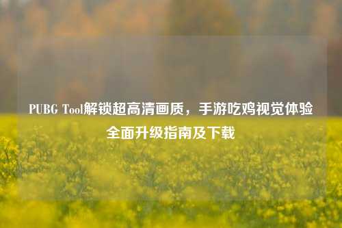 PUBG Tool解锁超高清画质,手游吃鸡视觉体验全面升级指南及下载