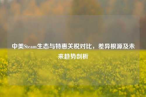 中美Steam生态与特惠关税对比,差异根源及未来趋势剖析