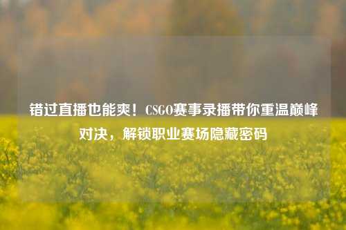 错过直播也能爽！CSGO赛事录播带你重温巅峰对决，解锁职业赛场隐藏密码
