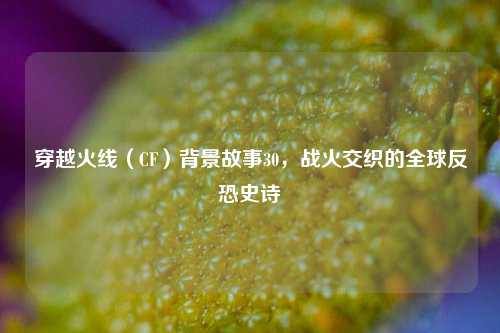 穿越火线(CF)背景故事30,战火交织的全球反恐史诗