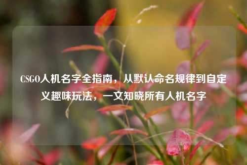 CSGO人机名字全指南，从默认命名规律到自定义趣味玩法，一文知晓所有人机名字