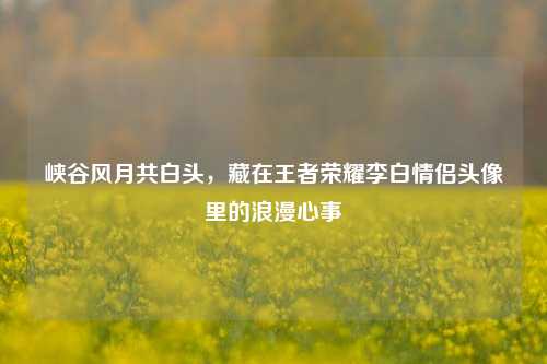 峡谷风月共白头，藏在王者荣耀李白情侣头像里的浪漫心事