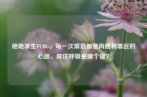 绝地求生PUBG,每一次屏息都是向胜利靠近的心跳,屏住呼吸是哪个键?