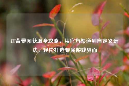 CF背景图获取全攻略，从官方渠道到自定义玩法，轻松打造专属游戏界面