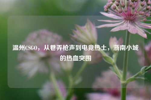 温州CSGO,从巷弄枪声到电竞热土,浙南小城的热血突围