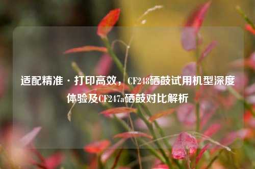 适配精准·打印高效,CF248硒鼓试用机型深度体验及CF247a硒鼓对比解析