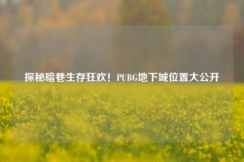 探秘暗巷生存狂欢!PUBG地下城位置大公开
