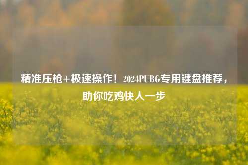 精准压枪+极速操作!2024PUBG专用键盘推荐,助你吃鸡快人一步
