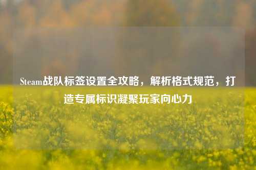 Steam战队标签设置全攻略,解析格式规范,打造专属标识凝聚玩家向心力