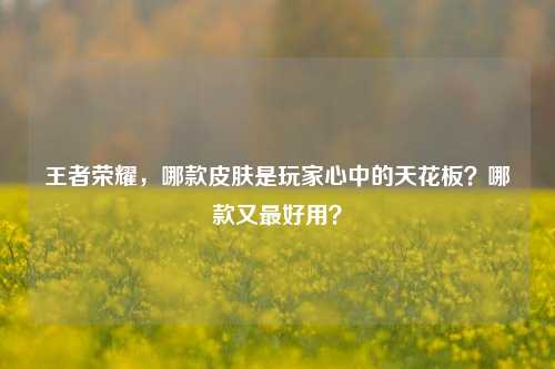 王者荣耀，哪款皮肤是玩家心中的天花板？哪款又最好用？