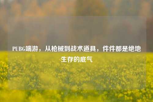 PUBG端游,从枪械到战术道具,件件都是绝地生存的底气