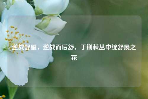 逆战舒望,逆战而后舒,于荆棘丛中绽舒展之花
