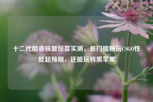 十二代酷睿核显惊喜实测,低门槛畅玩CSGO性能超预期,还能玩转黑苹果