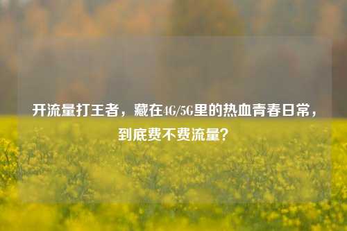 开流量打王者，藏在4G/5G里的热血青春日常，到底费不费流量？
