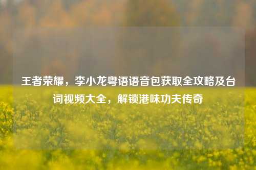 王者荣耀，李小龙粤语语音包获取全攻略及台词视频大全，解锁港味功夫传奇