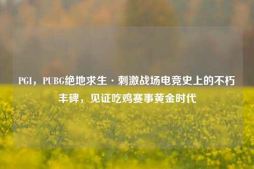 PGI,PUBG绝地求生·刺激战场电竞史上的不朽丰碑,见证吃鸡赛事黄金时代