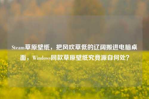 Steam草原壁纸,把风吹草低的辽阔搬进电脑桌面,Windows同款草原壁纸究竟源自何处?