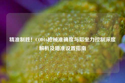 精准制胜!COD16枪械准确度与后坐力控制深度解析及瞄准设置指南