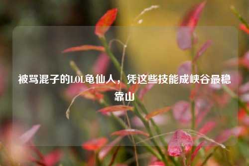 被骂混子的LOL龟仙人,凭这些技能成峡谷最稳靠山