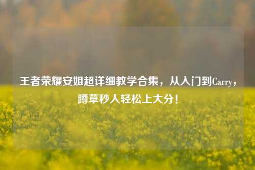 王者荣耀安姐超详细教学合集,从入门到Carry,蹲草秒人轻松上大分!