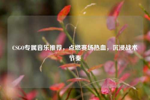 CSGO专属音乐推荐,点燃赛场热血,沉浸战术节奏