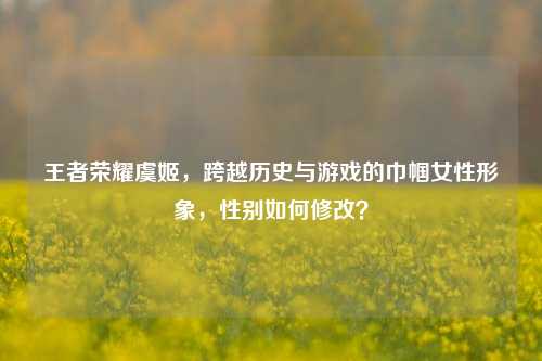 王者荣耀虞姬，跨越历史与游戏的巾帼女性形象，性别如何修改？