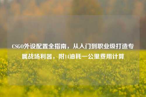 CSGO外设配置全指南,从入门到职业级打造专属战场利器,附14油耗一公里费用计算