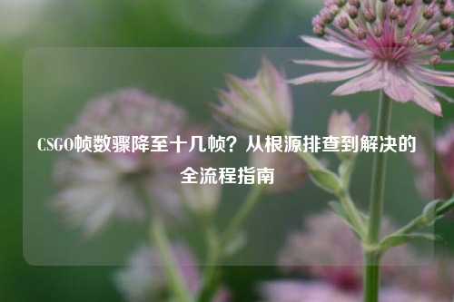 CSGO帧数骤降至十几帧？从根源排查到解决的全流程指南
