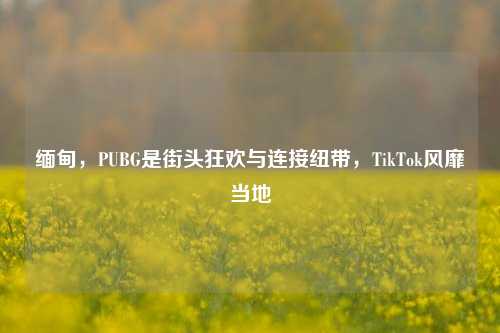 缅甸,PUBG是街头狂欢与连接纽带,TikTok风靡当地